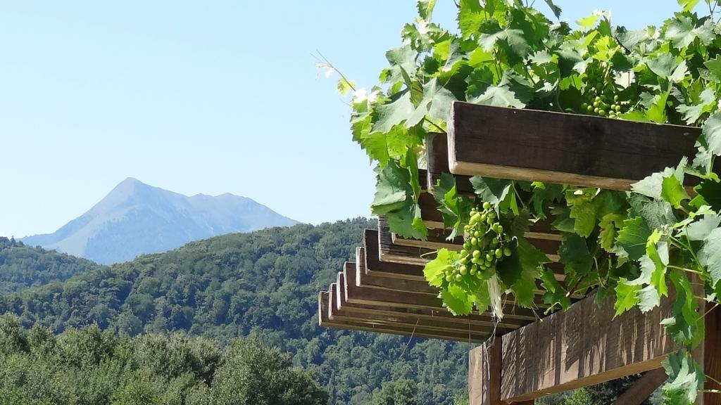 Gites Pyrenees Les Trois Montagnes Ganties Δωμάτιο φωτογραφία